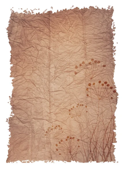 Oud papier blad met florale motief — Stockfoto
