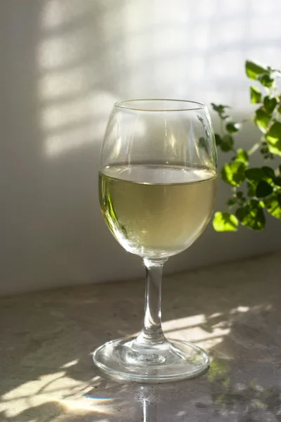 stock image The glass of white wine