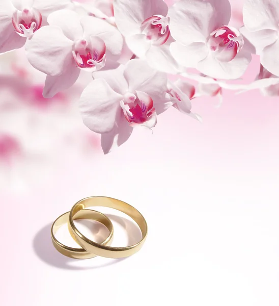 Fondo de boda con los anillos y la orquídea — Foto de Stock