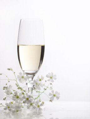 Bir bardak beyaz şarap