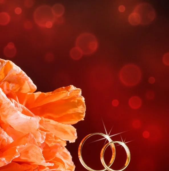 金の結婚指輪と花 — ストック写真