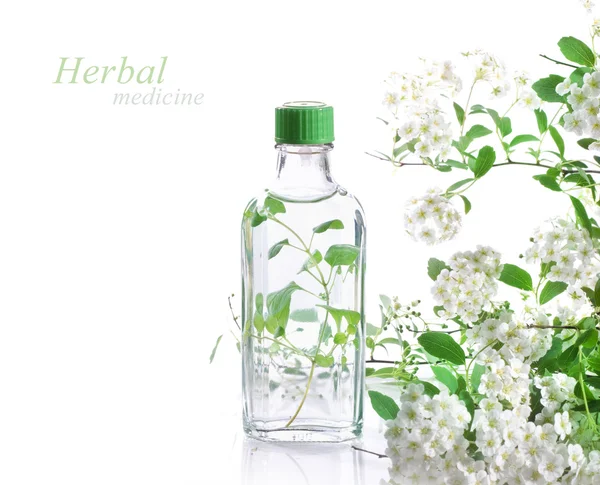 Medicina herbal —  Fotos de Stock