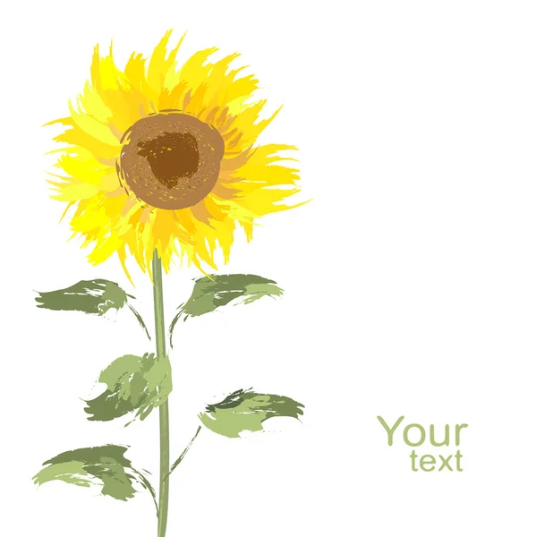 Mooie gele zonnebloem — Stockvector