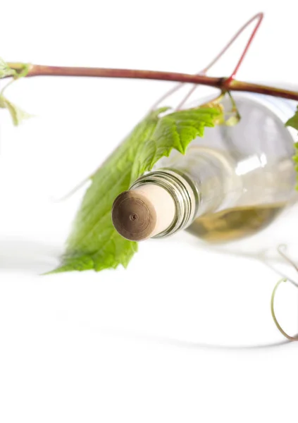 Bottle of white wine and vine branches — Stock Photo, Image