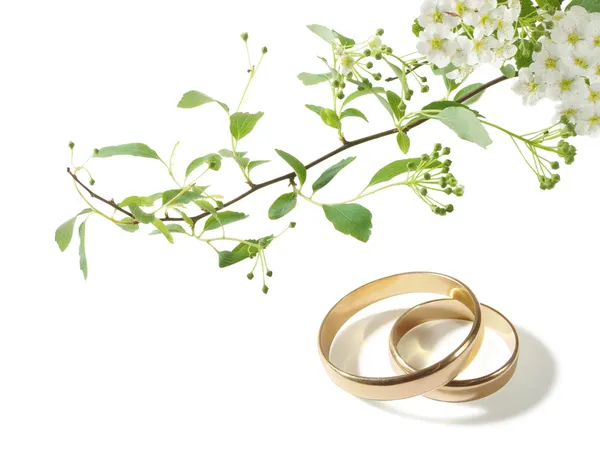 Wedding rings and white flowers — Stock Photo, Image