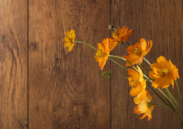 Flores laranja no fundo de madeira — Fotografia de Stock