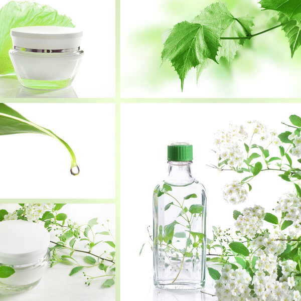 Cosmetics set of photos