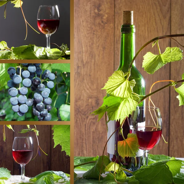 stock image Red wine and grapes