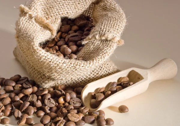 Chicchi di caffè in un sacchetto di lino — Foto Stock