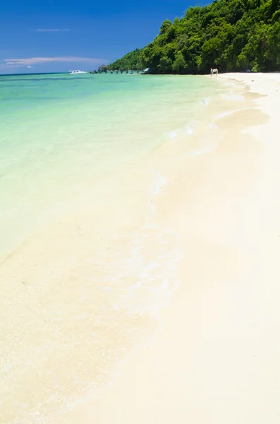 Beautiful beach at borneo island malaysia — Stock Photo, Image