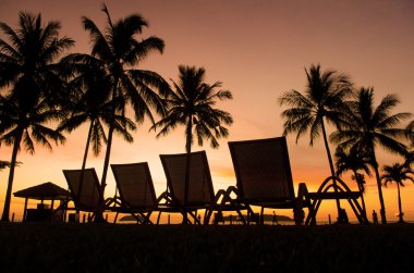 Row deckchairs on beach at sunset, clipart