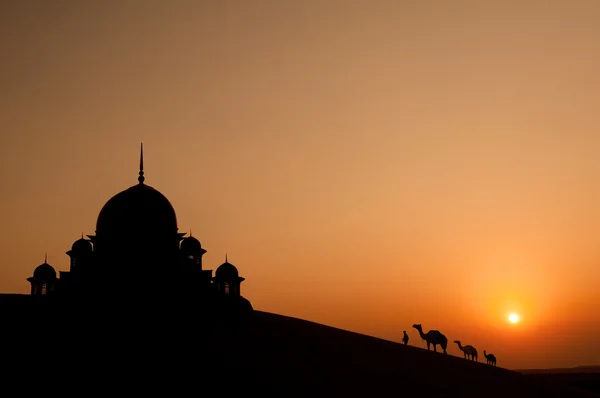 Meczet w pustyni z wielbłądy sylwetka — Zdjęcie stockowe