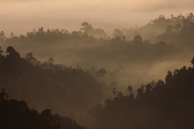 Morning Mist at Tropical Mountain Range, Malaysia clipart