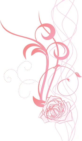 Rosa floresce wirh rosa — Fotografia de Stock