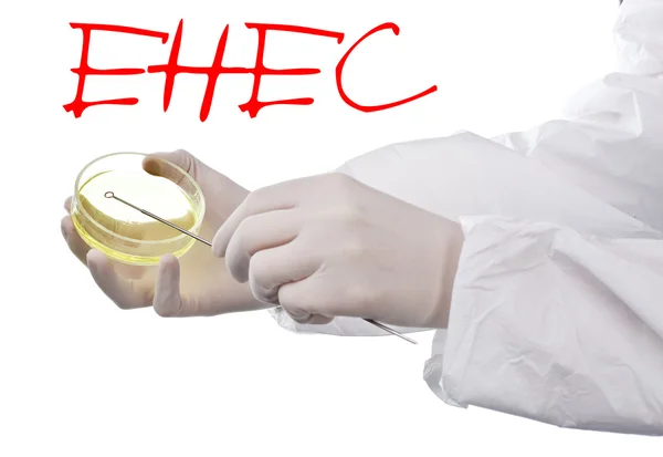 stock image Alert for EHEC