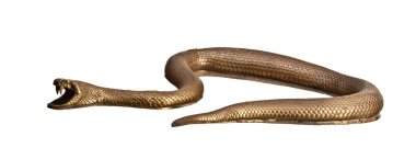 Metal snake clipart