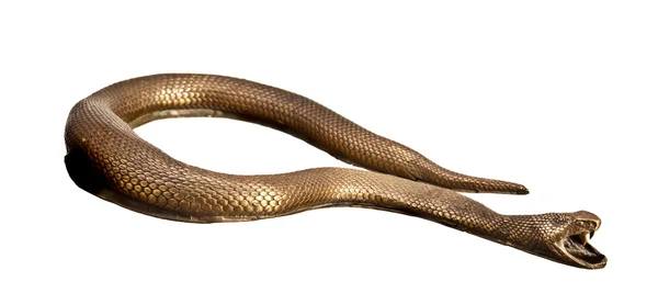 Metal snake — Stock Photo, Image