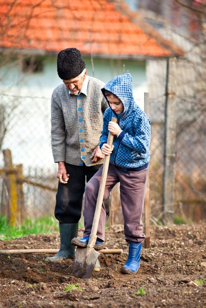 Landwirt mit Enkel im Garten — Stockfoto