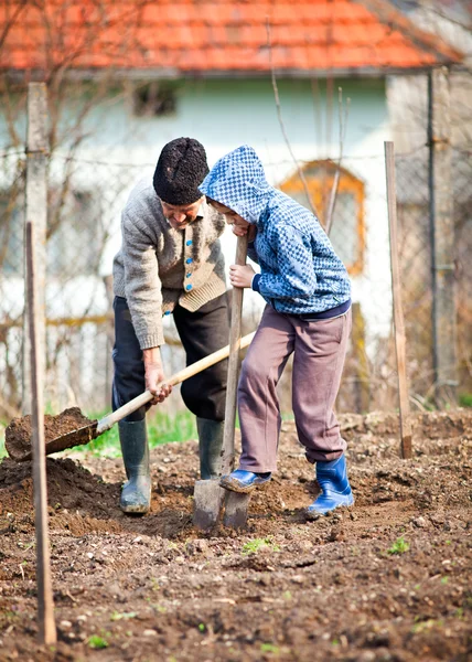 Senior boer met kleinzoon in de tuin — Stockfoto