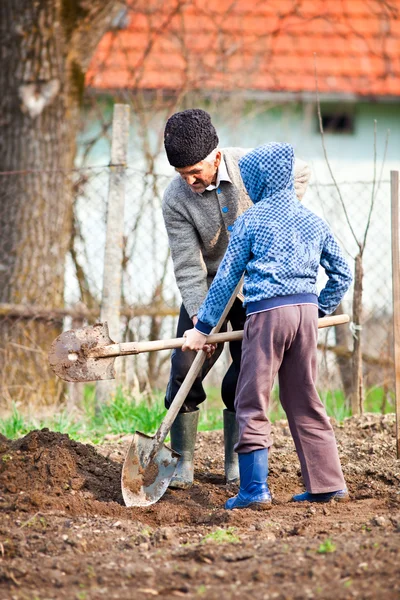 Agricultor sênior com neto no jardim — Fotografia de Stock
