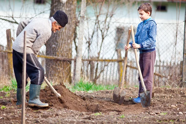 Senior bonde med barnbarn i trädgården — Stockfoto