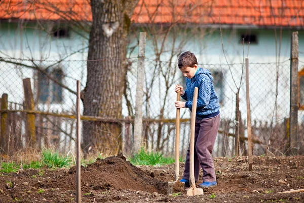 Мальчик с фермы копает лопатой — стоковое фото
