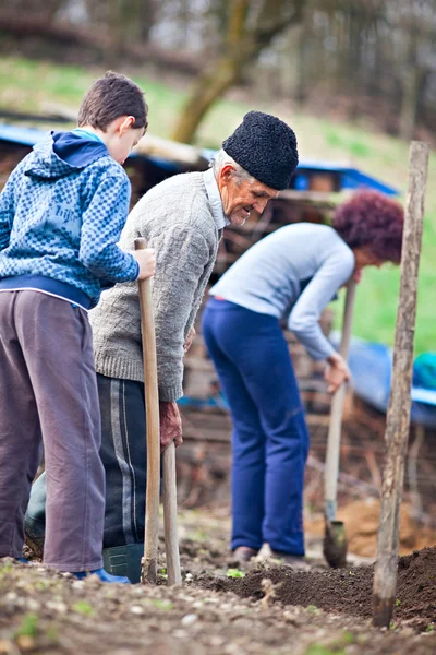 Tre generationer arbetar marken — Stockfoto