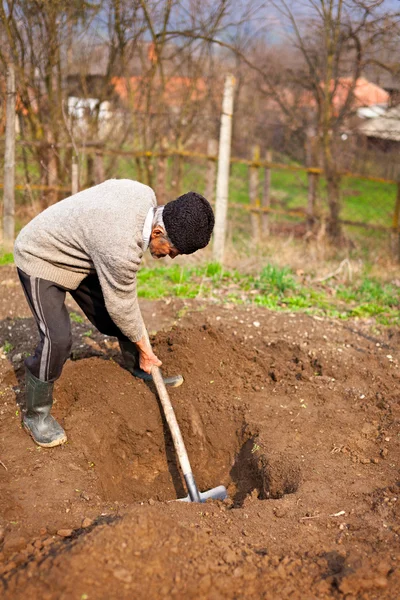 Old farmer digging in the garden — Stock Photo, Image