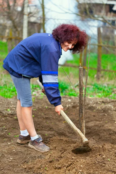 Рыжая молодая леди копает в саду — стоковое фото