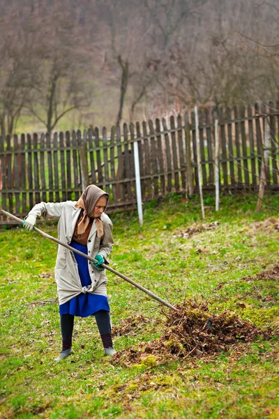 Agricultor sênior primavera limpeza do jardim com um ancinho — Fotografia de Stock