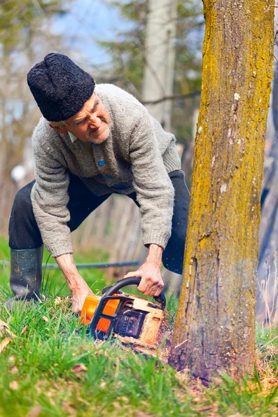Oude boer met chainsaw snijden een boom — Stockfoto