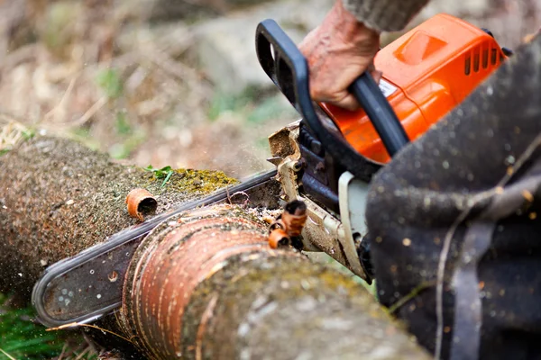 Madera cortando un tronco de árbol con motosierra — Foto de Stock
