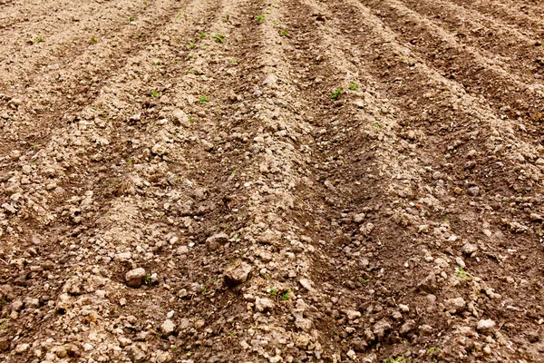 Ploughed land — Stock Photo, Image