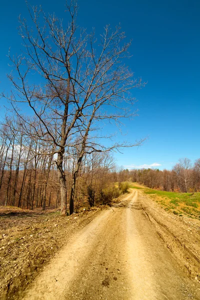 Сельская пустая дорога — стоковое фото