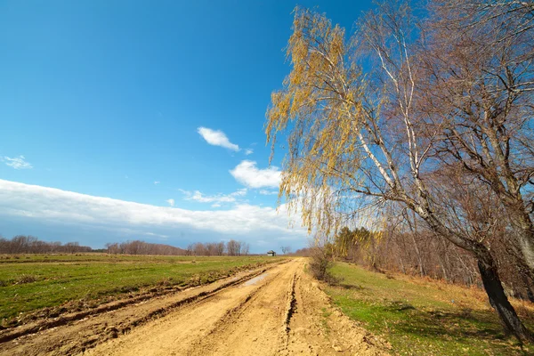 空の田舎道 — ストック写真