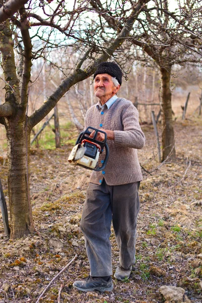 Старый фермер обрезает яблони — стоковое фото
