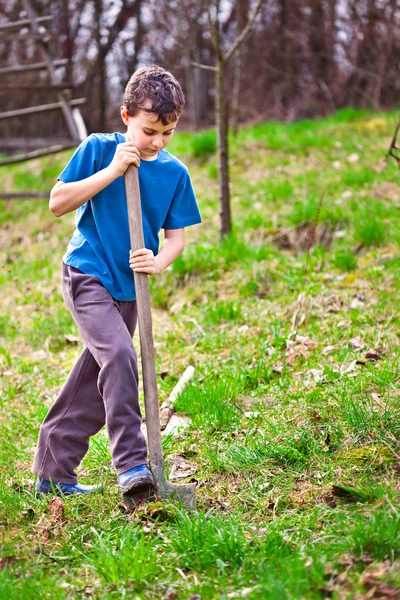 Farm boy digging with a shovel Stock Image