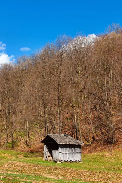Сільський пейзаж з дерев'яною хатинкою та лісом — стокове фото