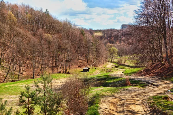 Landschaft mit Wäldern und Landstraße — Stockfoto