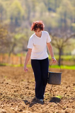 Young woman farmer planting clipart