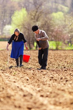 Senior couple planting on their land clipart