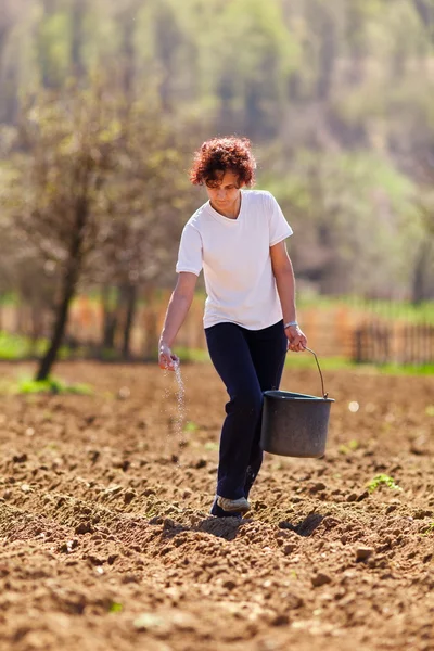 Ung kvinna bonden plantering — Stockfoto