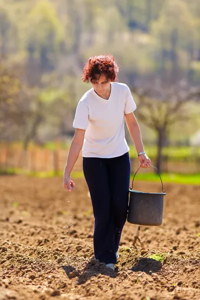 Kobieta młody rolnik sadzenia — Zdjęcie stockowe