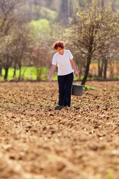 Mujer joven agricultora plantando —  Fotos de Stock