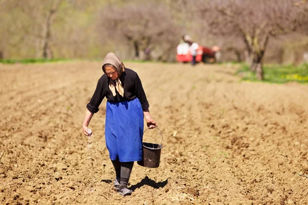 Senior vrouw landbouwer zaaien — Stockfoto