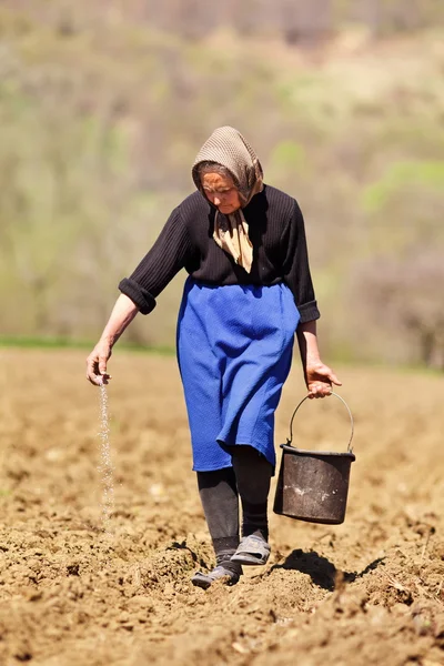 高级女人农夫播种 — 图库照片