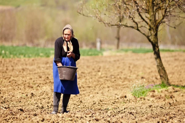 Velho agricultor mulher semeando — Fotografia de Stock