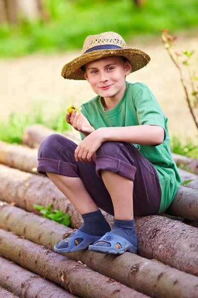 Щасливий хлопчик на відкритому повітрі сидить на соснових колодах — стокове фото