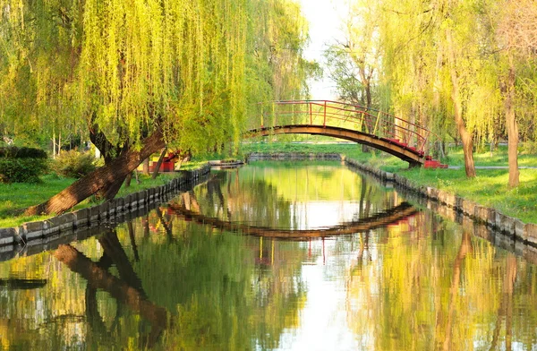Pont sur l'eau dans le parc — Photo