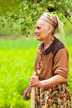 Old rural woman outdoor clipart